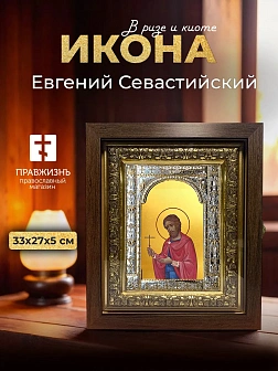 Икона Евгений Севастийский в ризе и киоте под дерево, 33х27 см