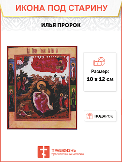 Икона Огненное восхождение Ильи Пророка