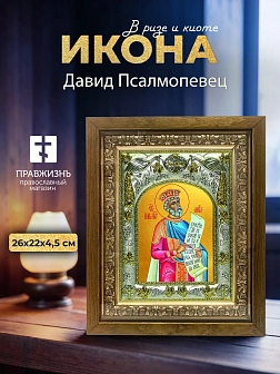 Икона Давид Псалмопевец в ризе и деревянном киоте, 26х22 см