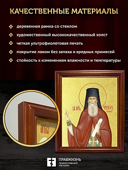 Икона Феодор Санаксарский преподобный с золочением, деревянная рамка со стеклом 15х18х2 см 1238