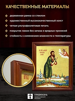 Икона Алексий Человек Божий преподобный с золочением, деревянная рамка со стеклом 15х18х2 см 022