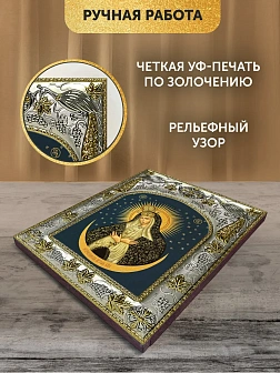 Икона Остробрамская Божия Матерь в ризе, 18х14 см