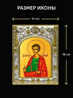 Икона Римма Новодунский в ризе и деревянном киоте, 26х22 см