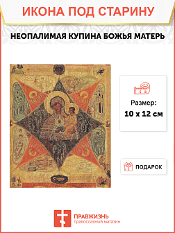 Икона Божья Матерь Неопалимая Купина