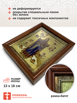 Икона Божией Матери Нерушимая стена с золочением в киоте 18х21х4 см Икона Божией Матери Нерушимая стена с золочением в киоте 18х21х4 см