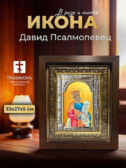 Икона Давид Псалмопевец в ризе и киоте под дерево, 33х27 см