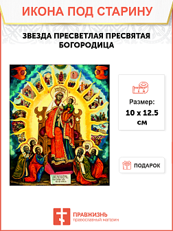 Икона Звезды Пресветлой Икона Звезды Пресветлой