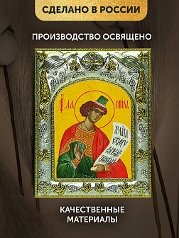 Икона Даниил Пророк в ризе, 18х14 см