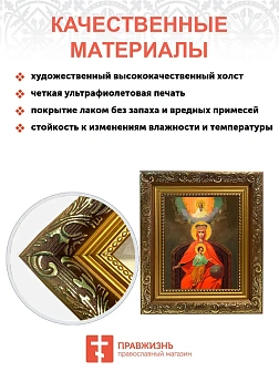 Икона Божией Матери Державная, широкая рамка 19,5х22,5х2 см 064