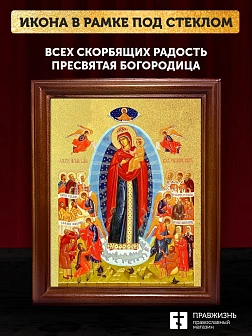 Икона Божией Матери Всех скорбящих Радость с золочением, деревянная рамка со стеклом 15х18х2 см 153