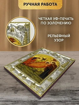 Икона Недреманное Око Божия Матерь в ризе, 18х14 см