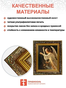 Икона Селафиил Архангел, узкая рамка 17,5х20,5х2 см 1225