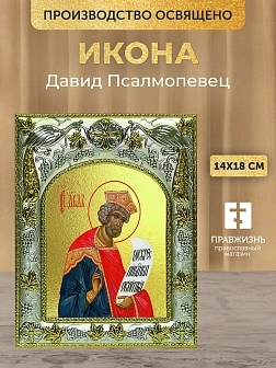 Икона Давид Псалмопевец в ризе, 18х14 см