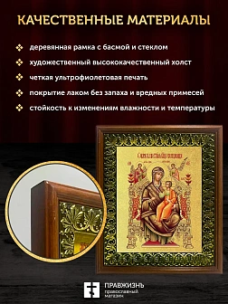 Икона Божией Матери Всецарица с золочением, деревянная рамка с басмой и стеклом 18х21х2,5 см 054