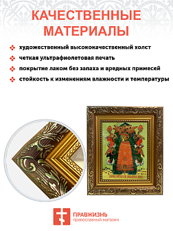 Икона Божией Матери Прибавление ума с золочением, широкая рамка 19,5х22,5х2 см