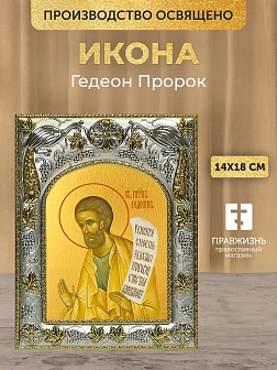 Икона Гедеон Пророк в ризе, 18х14 см