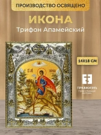 Икона Трифон Апамейский в ризе, 18х14 см
