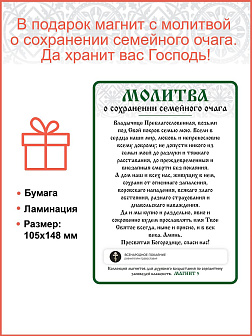 Икона Введение во храм Пресвятой Богородицы, широкая рамка 19,5х22,5х2 см 1204