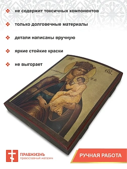 Икона Пресвятая Богородица Избавление от бед страждущих 13х18 см