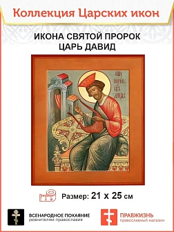 Царская Икона 008 Царь Давид 21х24,5 159 Царская Икона 008 Царь Давид 21х24,5 159