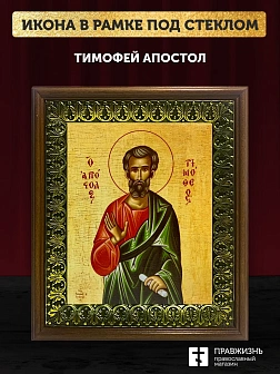 Икона Тимофей апостол, деревянная рамка с басмой и стеклом 18х21х2,5 см 138 Икона Тимофей апостол, деревянная рамка с басмой и стеклом 18х21х2,5 см 138