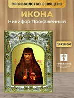Икона Никифор Прокаженный в ризе, 18х14 см