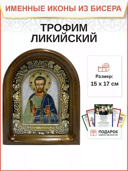 Именная икона 204 Трофим Ликийский бисер