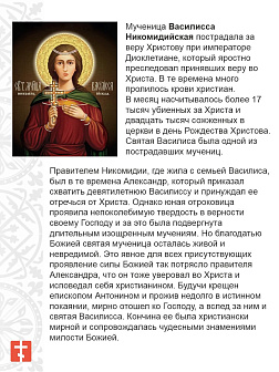 Икона Василиса Никомидийская 22х30 (152) Икона Василиса Никомидийская 22х30 (152)