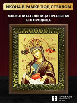 Икона Божией Матери Млекопитательница с золочением, деревянная рамка с басмой и стеклом 18х21х2,5 см Икона Божией Матери Млекопитательница с золочением, деревянная рамка с басмой и стеклом 18х21х2,5 см