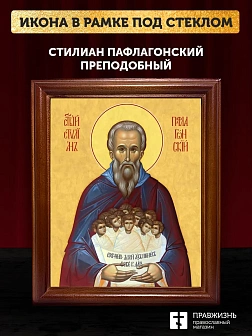Икона Стилиан Пафлагонский преподобный, деревянная рамка со стеклом 15х18х2 см 1102