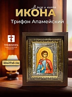 Икона Трифон Апамейский в ризе и киоте под дерево, 33х27 см