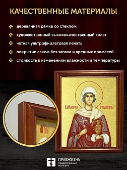 Икона Анастасия Узорешительница великомученица с золочением, деревянная рамка со стеклом 15х18х2 см Икона Анастасия Узорешительница великомученица с золочением, деревянная рамка со стеклом 15х18х2 см