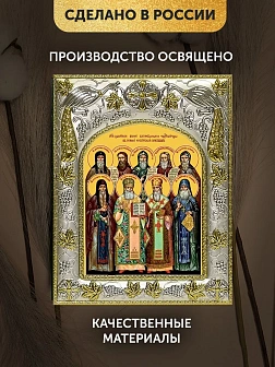 Икона Собор Русских Целителей в ризе, 18х14 см