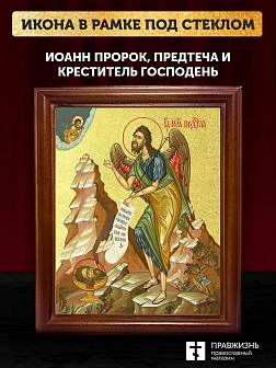 Икона Иоанн пророк Предтеча и Креститель Господень с золочением, деревянная рамка со стеклом 15х18х2