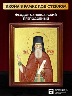 Икона Феодор Санаксарский преподобный с золочением, деревянная рамка со стеклом 15х18х2 см 1238