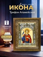 Икона Трифон Апамейский в ризе и деревянном киоте, 26х22 см
