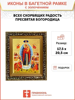 Икона Божией Матери "Всех Скорбящих Радость" с золочением поталью, 03009-УЛ