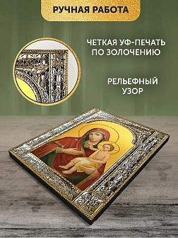 Икона Воспитание Божия Матерь в ризе, 18x24 см