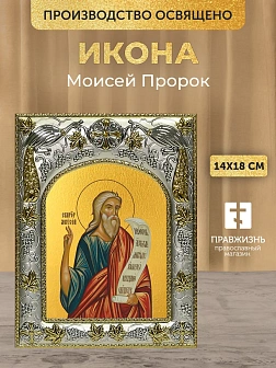 Икона Моисей Пророк в ризе, 18х14 см