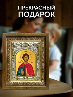 Икона Инна Новодунский в ризе и деревянном киоте, 26х22 см