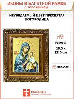 Икона Божией Матери "Неувядаемый Цвет" с золочением поталью, 03048-УЛ
