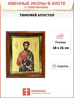 Икона "Тимофей", св. апостол, с золочением поталью, 09103-УЛ Икона "Тимофей", св. апостол, с золочением поталью, 09103-УЛ
