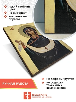 Именная икона Покров Божией Матери 119 24х30, царская Именная икона Покров Божией Матери 119 24х30, царская