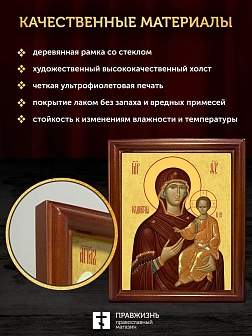 Икона Божией Матери Одигитрия, деревянная рамка со стеклом 15х18х2 см 133
