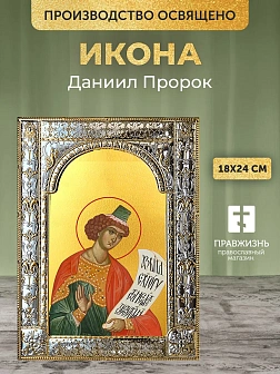 Икона Даниил Пророк в ризе, 18x24 см