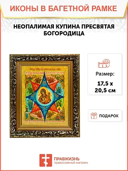 Икона Божией Матери Неопалимая Купина, узкая рамка 17,5х20,5х2 см 181