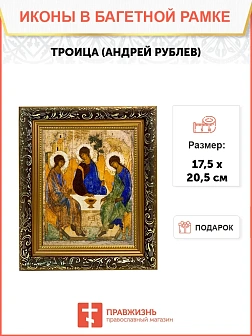 Икона Троица Андрея Рублева, узкая рамка 17,5х20,5х2 см 164