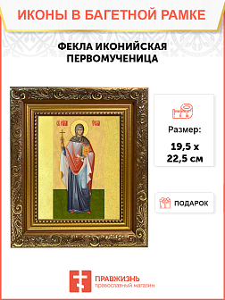 Образ святой Феклы Иконийской и Селевкийской, равноапостольной первомученицы, 13Ф1