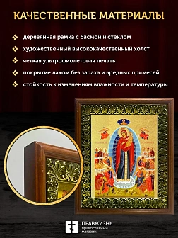 Икона Божией Матери Всех скорбящих Радость с золочением, деревянная рамка с басмой и стеклом 18х21х2