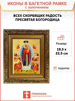 Икона Божией Матери "Всех Скорбящих Радость" с золочением поталью, 03009-УЛ